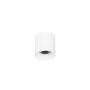 Italux ALTISMA CLN-6677-75-WH-4K Lubų šviestuvas 1x10W/LED 4000k 1100LM IP20