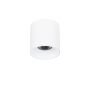 Italux ALTISMA CLN-6677-95-WH-3K Lubų šviestuvas 1x15W/LED 3000k 1650LM IP20