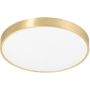 Zuma Line SIERRA CL12100008-GD Lubų šviestuvas 1x40W/LED 4000K 3000LM IP20