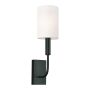 Feiss Brianna FE-BRIANNA1-BK Sienos lempa 1x60W/E14