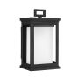 Feiss ROSCOE FE-ROSCOE-S Sienos lempa 1x75W/E27 IP44