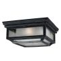 Feiss SHEPHERD FE-SHEPHERD-F Lubų šviestuvas 2x75W/E27 IP44