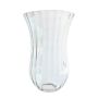 Hinkley Lighting CAMBRIDGE GS641 Lemputės gaubtas