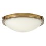 Hinkley Lighting COLLIER HK-COLLIER-F-M Lubų šviestuvas 3x60W/E27