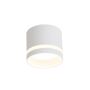 Light Prestige Kendal LP-6331/1SM R1 WH Lubų šviestuvas 1x7W/GX53 IP20