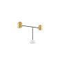 Luces Exclusivas ABASOLO LE43736 Darbo stalo lempa IP20