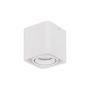 Luces Exclusivas ACATIPA LE61638 Lubų šviestuvas IP20