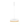 Luces Exclusivas CARACOLLO LE44813 Pakabinama lempa 1x40W/led 3000k IP20 3111lm