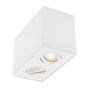 Luces Exclusivas CHIVACOA LE61452 Lubų šviestuvas IP20