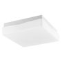 Luces Exclusivas LORENZO LE42448 Stropo šviestuvas IP44