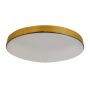 Milagro MAYA ML7790 Lubų šviestuvas 1x15W/LED 4000K 1650lm IP44