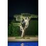 New Garden NEO 3117 Stovinė lempa 1x36W/LED 2700k 3000lm ip65