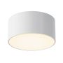 Maytoni Zon IP O430CL-L15W3K Lubų šviestuvas 1x15W/LED 3000K 900lm IP65