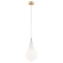 Argon OAKLAND 4696 Pakabinama lempa 1x6W/G9 IP20