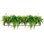 King Home SEMIRA INDUSTRIAL OSW001005 Pakabinama lempa 6x40W/E27 IP20