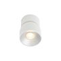 Nordlux PITCHER 2310400101 Taškinis šviestuvas 1x10W/GU10 IP20