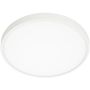Italux RIBERIO PLF-75689-WH-4K Lubų šviestuvas 30W/LED 4000K 2700LM IP20
