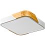 Italux Santer PLF-13187-WH-WO Lubų šviestuvas 1x24W/LED 3000K 2400lm IP20