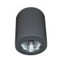 AZzardo BORIS AZ1110 Lubų šviestuvas 1x50W/GU10 IP20