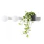 Kaspa BOTANICA DECO 20852201 Sienos lempa 2x9W/E14 IP20