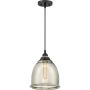 Quoizel PICCOLO QZS-QPP2818K Pakabinama lempa 1x60W/E27