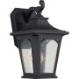 Quoizel BEDFORD QZ-BEDFORD2-S Sienos lempa 1x60W/E27 IP44