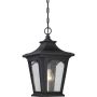Quoizel BEDFORD QZ-BEDFORD8-S Pakabinama lempa 1x60W/E27 IP44