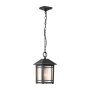 Quoizel Cedar Point QZ-CEDAR-POINT8-M-BK Pakabinama lempa 1x60W/E27 IP44