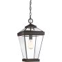 Quoizel RAVINE QZ-RAVINE8-L Pakabinama lempa 1x60W/E27 IP44