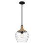 Quoizel Royer QZ-ROYER-1P-MBK Pakabinama lempa 1x60W/E27 IP20
