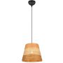 Trio JOELINE R31731926 Pakabinama lempa 1x10w/e27 ip20