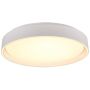 Trio FELIS R64391031 Stropo šviestuvas 1x24w/led 2700-6500K 2500lm ip20