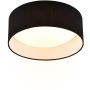 Trio LOCARNO R64191102 Stropo šviestuvas 1x12w/led 3000K 1160lm ip20