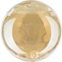 Dar Lighting Ripple RIP8820 Apsauginis dangtis 1x60w/e27