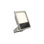 SLV FLOODLIGHT 1008909 Halogeninis prožektorius 1x100W/LED 3000K 16300lm|23850lm|30800lm