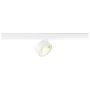 SLV KALU 2.0 3F 1010251 Geležinkelio švieslentė 1x10W/LED 4000K 1500lm
