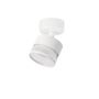Light Prestige Kendal LP-6331/1WS TR/WH Taškinis šviestuvas 1x7W/GX53 IP20