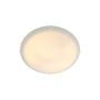 Nordlux STANDARD 2410256001 Lubų šviestuvas 1x60W/E27 IP20