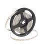 SMD LED HOMEline TAS4625SLL LED juostelė 120x9,7W/m/LED 3000K 880 lm/m IP20
