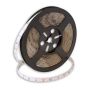 SMD LED PROline TAS4243SLL LED juostelė 60x6W/m/LED 4000K 720 lm/m IP66