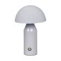 Italux Dorbia TB-83647-GR Stalo lempa 1x2W/LED 3000-6500K 45lm IP20