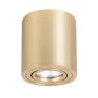 Light Prestige Tulon LP-5441/1SM GD Lubų šviestuvas 1x8W/GU10 IP20