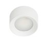 Italux SIRIUS WG-608C/WK-WW/MULTI Lubų šviestuvas 1x28W/LED 3000k|4000k|6000k 3200LM IP44