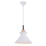 Zambelis PENDANT LAMP 180066 Pakabinama lempa 1x40w/E27 IP20