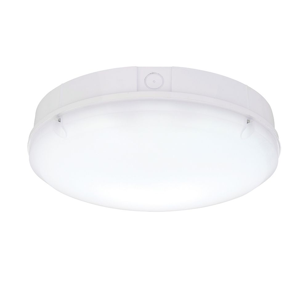 Endon-Forca CCT-77900-END77900