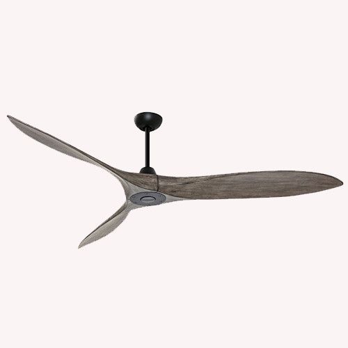 Zambelis-FAN CEILING-20259-ZAM20259