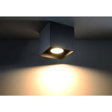 Sollux QUAD SL.0022 Lubų šviestuvas 1x40W/GU10
