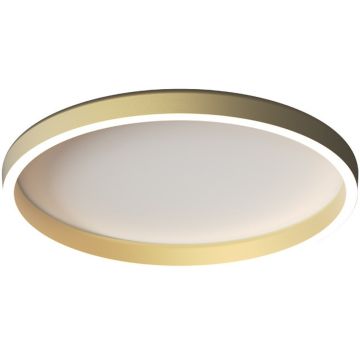 Zambelis CEILING LED LAMP 25164 Lubų šviestuvas 41W/led 2700-3000-4000K 2170-2199-2224lm IP20