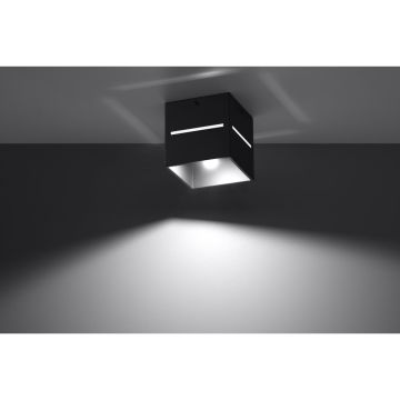 Sollux LOBO SL.0207 Lubų šviestuvas 1x40W/G9