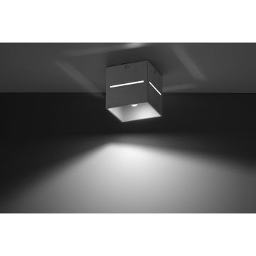 Sollux LOBO SL.0208 Lubų šviestuvas 1x40W/G9